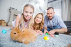 The Carpet Cleaners - Family playing with rabbit and Easter eggs while lying on carpet