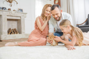 The Carpet Cleaners - Family playing with rabbit on carpet